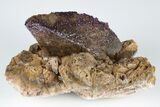 Calcite Crystal Coated With Purple (Yttrofluorite?) Fluorite #177585-1